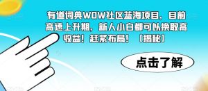 有道词典WOW社区蓝海项目，目前高速上升期，新人小白都可以换取高收益！赶紧布局！【揭秘】-瀚海资源库