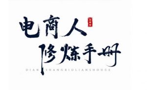 照顾酱·电商人修炼手册，从0到1，手把手教你理解淘宝运营底层逻辑-瀚海资源库