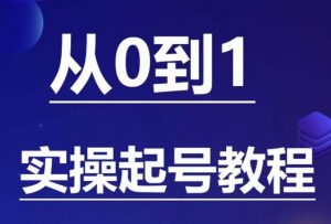 石野·小白起号实操教程，​掌握各种起号的玩法技术，了解流量的核心-瀚海资源库