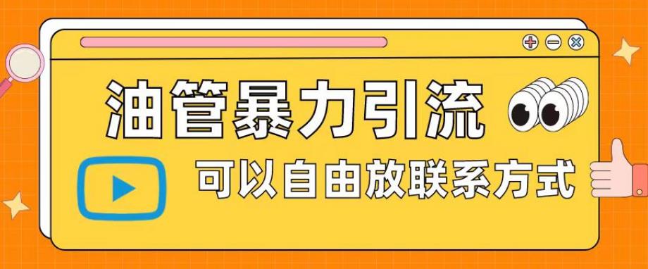 油管暴力引流，可以自由放联系方式【揭秘】-瀚海资源库