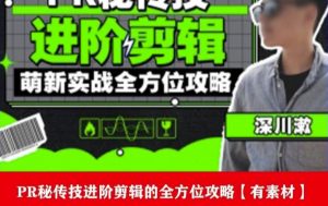 PR进阶剪辑培训班,让你快速成为剪辑大师12节视频课程+素材!-瀚海资源库