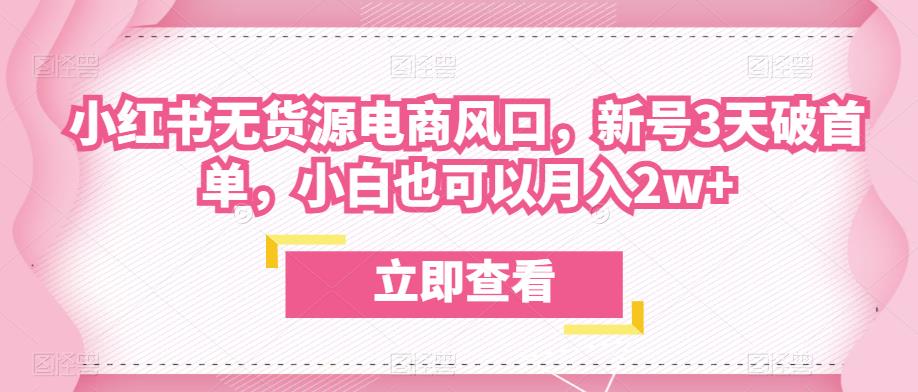 众狼电商余文小红书无货源电商风口，新号3天破首单，小白也可以月入2w+-瀚海资源库