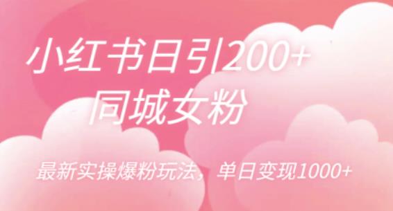小红书日引200+同城女粉，最新实操爆粉玩法，单日变现1000+【揭秘】-瀚海资源库