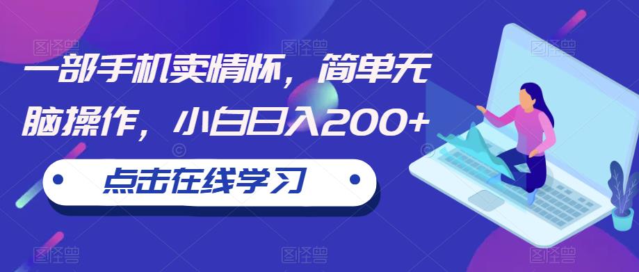 一部手机卖情怀，简单无脑操作，小白日入200+【揭秘】-瀚海资源库