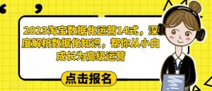 2023淘宝数据化运营14式，深度解析数据化知识，帮你从小白成长为高级运营-瀚海资源库