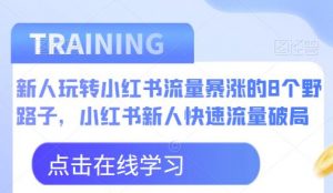 新人玩转小红书流量暴涨的8个野路子,小红书新人快速流量破局-瀚海资源库