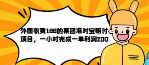 外面收费188的美团准时宝赔付项目，一小时完成一单利润200【仅揭秘】-瀚海资源库