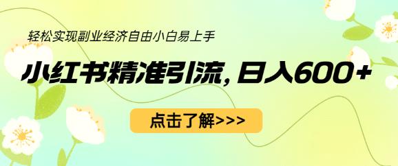 小红书精准引流，小白日入600+，轻松实现副业经济自由（教程+1153G资源）-瀚海资源库