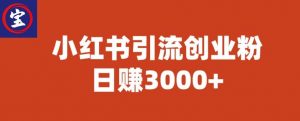 宝哥小红书引流创业粉，日赚3000+【揭秘】-瀚海资源库