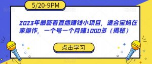 2023年最新看直播赚钱小项目，适合宝妈在家操作，一个号一个月赚1000多（揭秘）-瀚海资源库