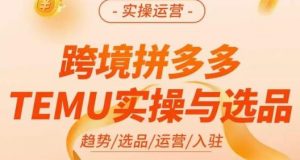 伍跃·跨境拼多多TEMU实操与选品，​趋势/选品/运营/入住（27节完整）-瀚海资源库