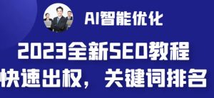 2023最新网站AI智能优化SEO教程，简单快速出权重，AI自动写文章+AI绘画配图-瀚海资源库