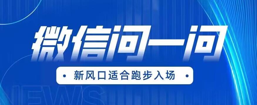 全网首发微信问一问新风口变现项目（价值1999元）【揭秘】-瀚海资源库