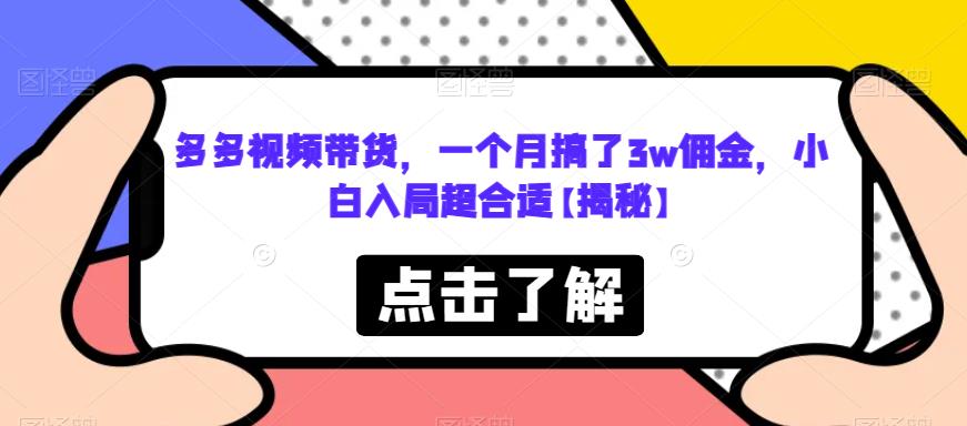 多多视频带货，一个月搞了3w佣金，小白入局超合适【揭秘】-瀚海资源库