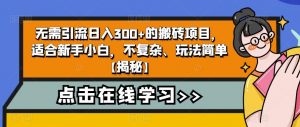 无需引流日入300+的搬砖项目，适合新手小白，不复杂、玩法简单【揭秘】-瀚海资源库