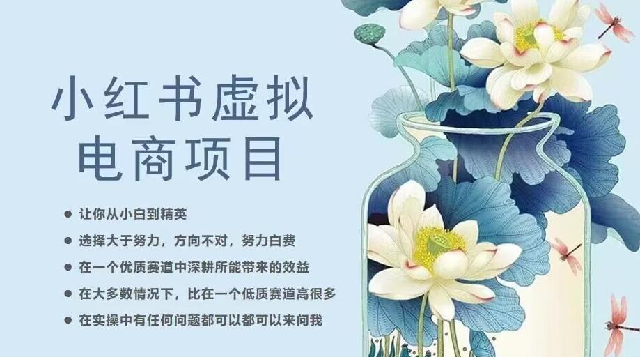 小红书虚拟电商从0到1，让你从小白到精英（20节实操课程）-瀚海资源库