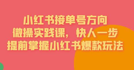 接单号方向·小红书微操实践课，快人一步，提前掌握小红书爆款玩法-瀚海资源库