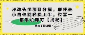 漫改头像项目分解，即使是小白也能轻松上手，仅需一部手机即可【揭秘】-瀚海资源库
