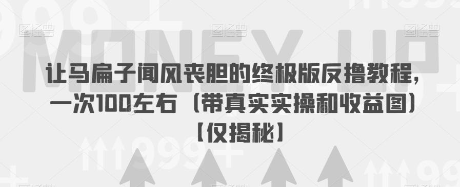 让马扁子闻风丧胆的终极版反撸教程，一次100左右（带真实实操和收益图）【仅揭秘】-瀚海资源库