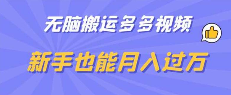 无脑搬运多多视频，新手也能月入过万【揭秘】-瀚海资源库