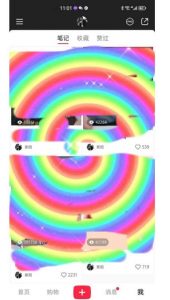 冷门高利润项目，小红书带货，无脑搬运，一部手机实现日入500+【揭秘】-瀚海资源库