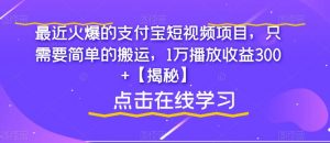 最近火爆的支付宝短视频项目，只需要简单的搬运，1万播放收益300+【揭秘】-瀚海资源库