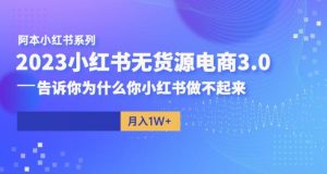 阿本小红书无货源电商3.0，告诉你为什么你小红书做不起来-瀚海资源库