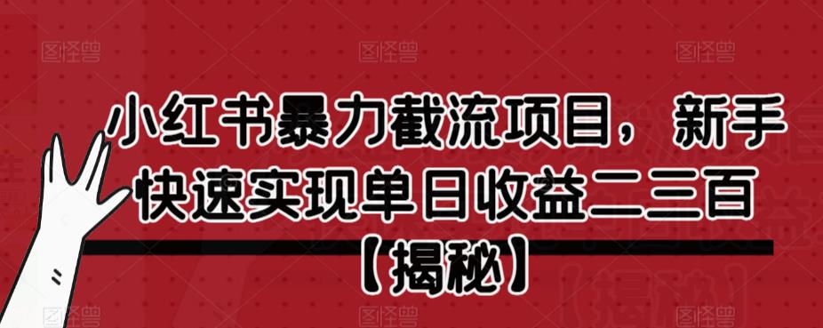 小红书暴力截流项目，新手快速实现单日收益二三百【仅揭秘】-瀚海资源库