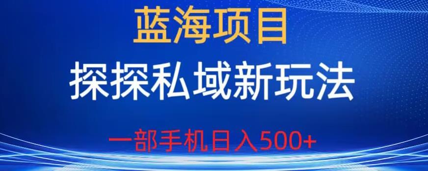 蓝海项目，探探私域新玩法，一部手机日入500+很轻松【揭秘】-瀚海资源库
