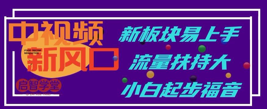 中视频新风口，新板块易上手，流量扶持大，小白起步福音【揭秘】-瀚海资源库