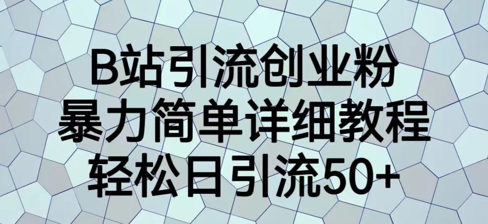 B站引流创业粉，暴力简单详细教程，轻松日引流50+【揭秘】-瀚海资源库