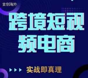 钧哥TikTok短视频底层实操，言创海外跨境短视频，实战即真理-瀚海资源库