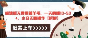 极速版无费用薅羊毛，一天躺赚10-50+，小白无脑操作【拆解】-瀚海资源库