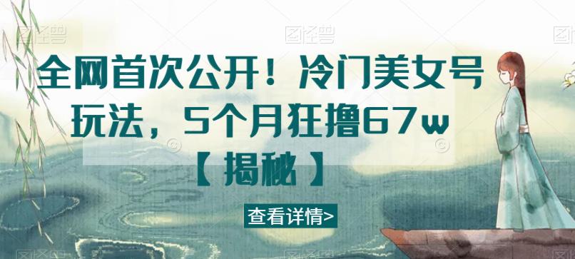 全网首次公开！冷门美女号玩法，5个月狂撸67w【揭秘】-瀚海资源库