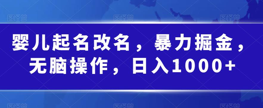婴儿起名改名，暴力掘金，无脑操作，日入1000+【揭秘】-瀚海资源库