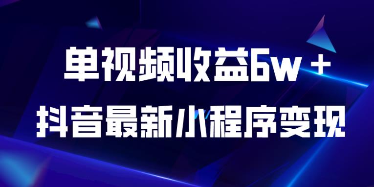 抖音最新小程序变现项目，单视频收益6w＋，小白可做【揭秘】-瀚海资源库