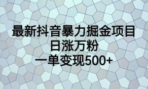 最新抖音暴力掘金项目，日涨万粉，一单变现500+【揭秘】-瀚海资源库