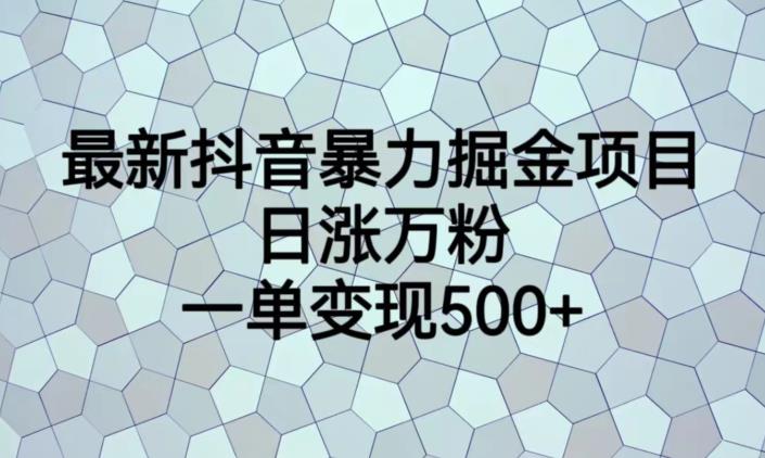 最新抖音暴力掘金项目，日涨万粉，一单变现500+【揭秘】-瀚海资源库
