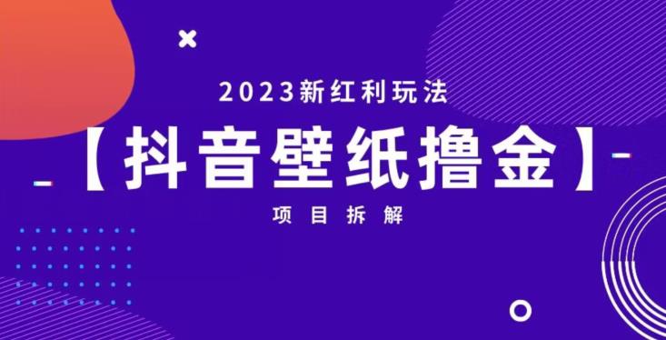 抖音壁纸小程序创作者撸金项目，2023新红利玩法【项目拆解】-瀚海资源库