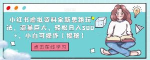 小红书虚拟资料全新思路玩法,流量巨大,轻松日入300+,小白可操作【揭秘】-瀚海资源库