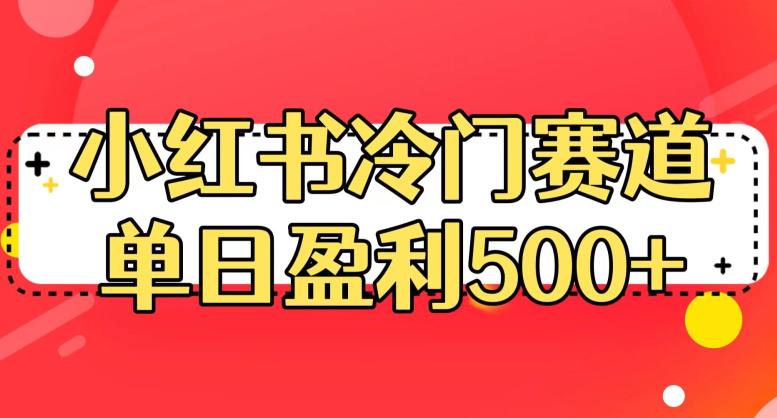 小红书冷门赛道，单日盈利500+【揭秘】-瀚海资源库