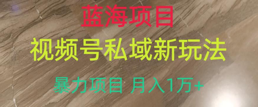 蓝海项目，视频号私域新玩法，暴力项目月入1万+【揭秘】-瀚海资源库