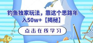 钓鱼独家玩法,靠这个思路年入50w+【揭秘】-瀚海资源库