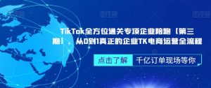 TikTok全方位通关专项企业陪跑【第三期】,从0到1真正的企业TK电商运营全流程-瀚海资源库