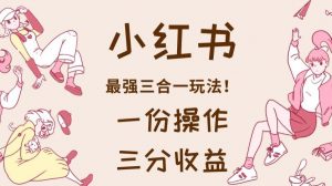 小红书最强三合一玩法，一份操作获得三份收益！【揭秘】-瀚海资源库