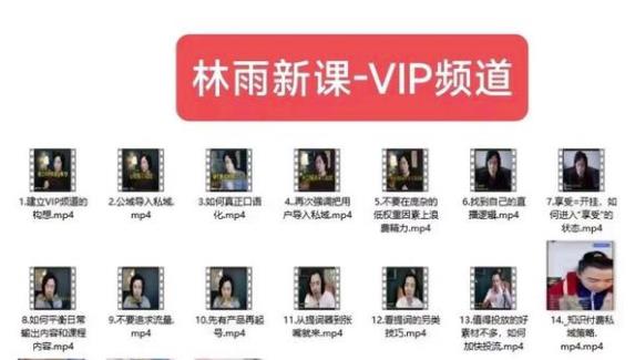林雨新课VIP频道，玩赚私域/朋友圈/社群-瀚海资源库