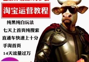 猫老师·淘系算法逆向解密，​纯黑纯白玩法，七天上首页纯搜索，手淘首页14天流量过万-瀚海资源库