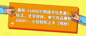 最新《1000个野路子信息差》玩法，文字视频，单个作品暴粉5000+，小白轻松上手【揭秘】-瀚海资源库