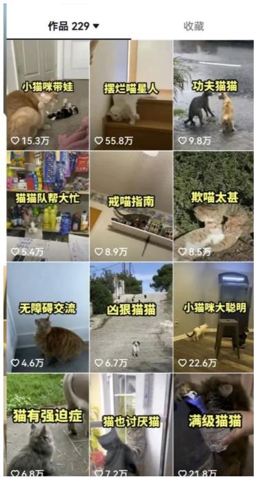 拆解抖音盘点类中视频变现副业项目，视频版一条龙大解析分享给你【视频课程】-瀚海资源库