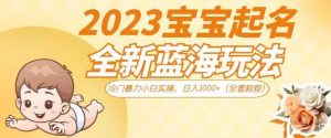 2023宝宝起名全新蓝海玩法，冷门暴力小白实操，日入1000+（全套教程）【揭秘】-瀚海资源库